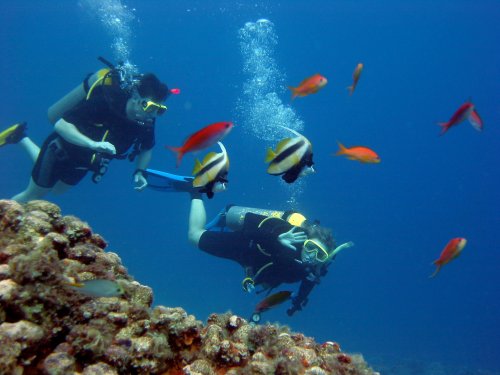 Intercontinental Sharm El Sheikh